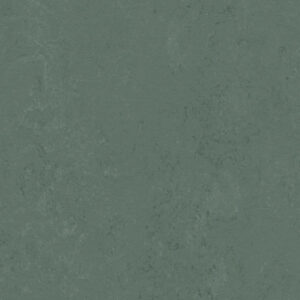 Marmoleum-Forbo-Solid-Concrete-3752-taiga